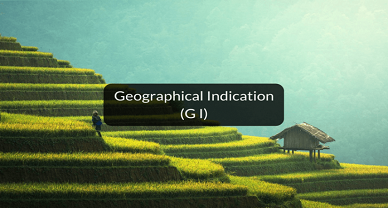 Geographical Indication-