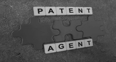 Patent Agent